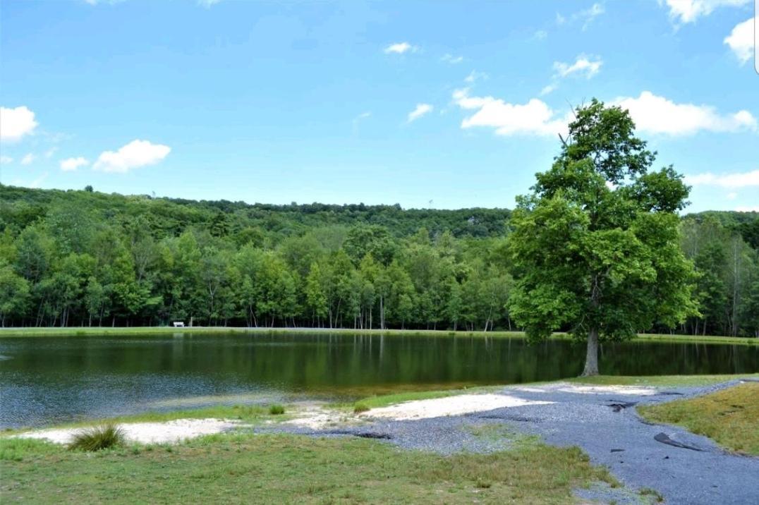 *Amenity-Filled Waterfront Oasis @Saw Creek Estates Near Waterfalls And Hiking* East Stroudsburg Exterior photo